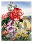 Portrait Of Flowers Native To China by National Geographic Society Limited Edition Pricing Art Print