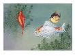 Three Common Goldfish Swim Together by National Geographic Society Limited Edition Print