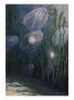 A Painting Of Rainbow-Jellies, Mnemiopsis Leidyi, Floating In Water by William H. Crowder Limited Edition Print