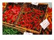 Chilli Peppers, Ferry Building Farmer's Market, San Francisco, California, Usa by Inger Hogstrom Limited Edition Print