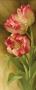 Spring's Parrot Tulip Ii by Igor Levashov Limited Edition Print