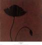 Poppy by Robert Charon Limited Edition Pricing Art Print
