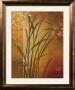 Autumn Sunset Ii by Edward Aparicio Limited Edition Print