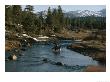 Horse And Rider Ford The Carson River, California by Phil Schermeister Limited Edition Print