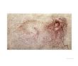 Sketch Of A Roaring Lion by Leonardo Da Vinci Limited Edition Print