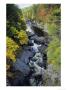 The Pleasant River In Maine by Sam Abell Limited Edition Print