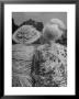 Brightly Dressed Spectators Attending The Event by Cornell Capa Limited Edition Print