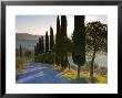 Country Road Towards Pienza, Val D' Orcia, Tuscany, Italy by Doug Pearson Limited Edition Print