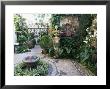 Patio In Private House During Annual Patio Competition, Cordoba, Andalucia, Spain by Rob Cousins Limited Edition Print