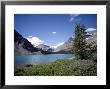 Bow Lake With Bow Glacier Behind, Icefields Parkway, Banff National Park, Alberta by Geoff Renner Limited Edition Print