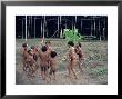 Yanomami Children, Brazil, South America by Robin Hanbury-Tenison Limited Edition Pricing Art Print