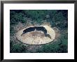 Aerial View Of A Yanomami Yano Near Tooto Tobi, Brazil, South America by Robin Hanbury-Tenison Limited Edition Print