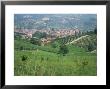 Vineyards Around Dogliani, The Langhe, Piedmont, Italy by Sheila Terry Limited Edition Print