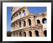 The Colosseum, Rome, Lazio, Italy by Sheila Terry Limited Edition Print