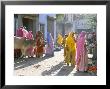 Typical Coloured Rajasthani Saris, Pushkar, Rajasthan, India by Tony Waltham Limited Edition Pricing Art Print