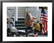 Motorcyclist With Bird On Head, Duval Street, Key West, Florida, Usa by R H Productions Limited Edition Print
