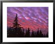 Sunset Painting Clouds Over Forest, Three Sisters Wilderness, Oregon, Usa by Steve Terrill Limited Edition Print