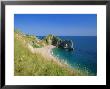 View From Coastal Path Of Durdle Door, Dorset, England by Ruth Tomlinson Limited Edition Print