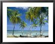 Tropical Landscape Of Palm Trees At Pigeon Point On The Island Of Tobago, Caribbean by John Miller Limited Edition Print