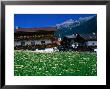Building In Countryside, Innsbruck, Austria by Chris Mellor Limited Edition Pricing Art Print