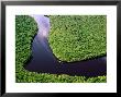 Boat Rounding A Bend On Carrao River, Canaima National Park, Bolivar, Venezuela by Krzysztof Dydynski Limited Edition Print