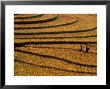 Ethnic Black H'mong, Sapa, Lao Cai, Vietnam by Stu Smucker Limited Edition Print