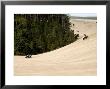 4X4 Atv Racing On Sand Dunes Of Oregon Dunes Nra, Honeyman State Park by Emily Riddell Limited Edition Print