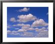 Cumulus Clouds Above The Masai Mara National Reserve by John Eastcott & Yva Momatiuk Limited Edition Pricing Art Print