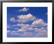 Cumulus Clouds Above The Masai Mara National Reserve by John Eastcott & Yva Momatiuk Limited Edition Print