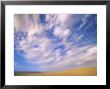 Cumulus Clouds Boiling Over A Wyoming Prairie In Late Summer by John Eastcott & Yva Momatiuk Limited Edition Print