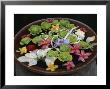 Flower Blossoms Arranged In A Bowl Of Water by Jodi Cobb Limited Edition Print