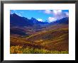 Valley Blooms With Autumn Colors, Tombstone Territorial Park, Yukon Territory, Canada by Nick Norman Limited Edition Pricing Art Print