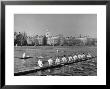 Crew Rowing On Charles River Across From Harvard University Campus by Alfred Eisenstaedt Limited Edition Print