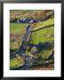 Country Lane And Houses, Snowdonia, North Wales by Peter Adams Limited Edition Print