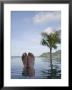 Phuket, Thailand, Southeast Asia by Angelo Cavalli Limited Edition Print
