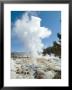 Norris Geysers, Yellowstone National Park, Unesco World Heritage Site, Wyoming, Usa by Ethel Davies Limited Edition Print
