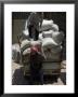 Men Loading Grain, Aleppo (Haleb), Syria, Middle East by Christian Kober Limited Edition Print
