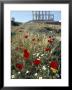 Temple Of Poseidon, Sounion (Sounio), Greece by Adam Woolfitt Limited Edition Print