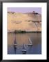 Three Feluccas On The River Nile, Aswan, Nubia, Egypt, North Africa, Africa by Sylvain Grandadam Limited Edition Print