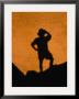 Hiker's Shadow Cast On A Rock, Red Mountain Geologic Area, Coconino National Forest, Arizona by Ralph Lee Hopkins Limited Edition Print
