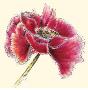 Plum Poppy by Sophia Flores Limited Edition Print