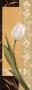 Kissing Tulips Ii by Gerard Beauvoir Limited Edition Print