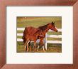 Horse And Colt With Fence by Jeanne Drake Limited Edition Print