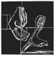 La Mer Est Toujours Presente X by Le Corbusier Limited Edition Pricing Art Print