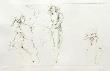 Variations Viii by Leonor Fini Limited Edition Print