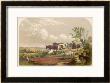 Drover And His Donkey Leads His Sheep And Cattle To Graze On Common Land by F. Lydon Limited Edition Print