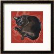 Velvet Cat I (Chat Velours I) by Isy Ochoa Limited Edition Pricing Art Print