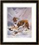 Saint Bernard Finds A Man Trapped In The Snow by A. Scott Rankin Limited Edition Print