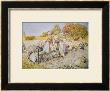 Digging Potatoes, 1905 by Carl Larsson Limited Edition Pricing Art Print