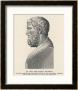 Solon Greek Statesman And Lawgiver by L. Visconti Limited Edition Print